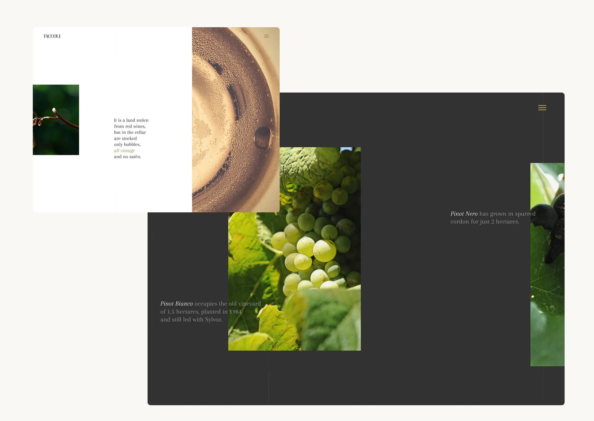 Faccoli website screenshot.
